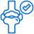 General Orthopaedic Check-ups Icon